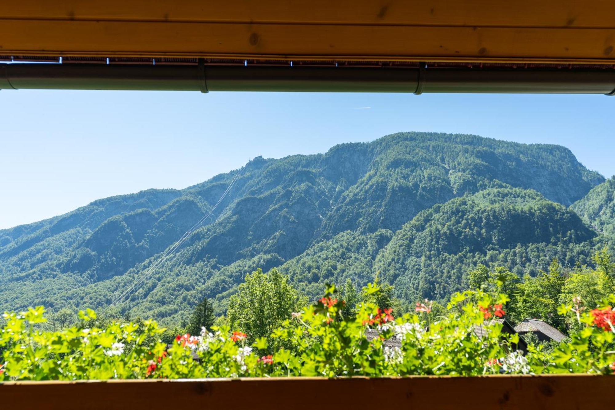Alpik Chalets - Bohinji-tó Szoba fotó